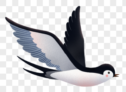 燕子张开翅膀的火烈鸟高清图片