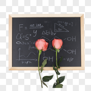 黑板上两朵玫瑰花图片