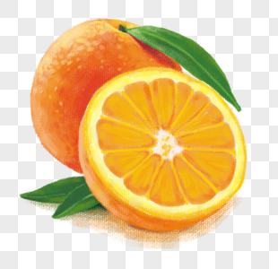 橘子柑橘食物高清图片