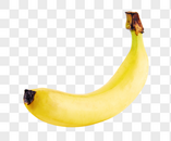一只香蕉图片