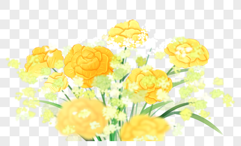 黄色花卉图片