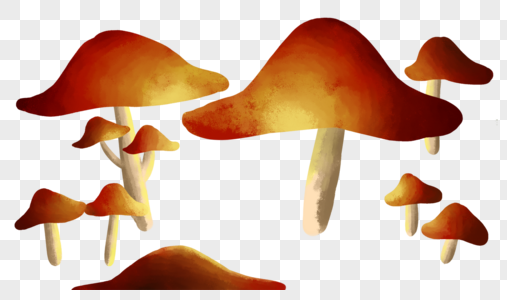 蘑菇手绘野山菇高清图片
