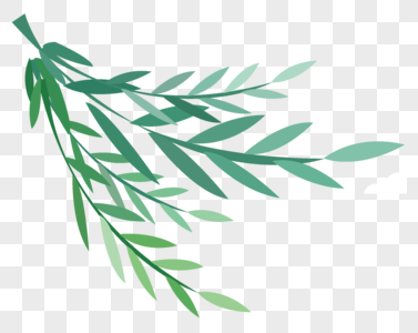 叶子手绘柳叶素材