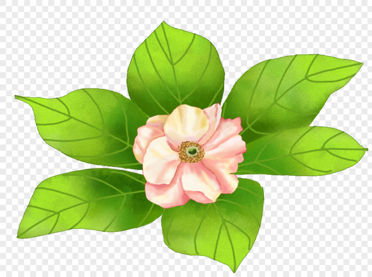 qq好友 微信朋友圈 qq空间 新浪微博  花瓣 举报 标签: 卡通叶子卡通