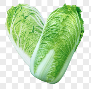 花白菜图片 花白菜素材 花白菜模板下载 摄图网