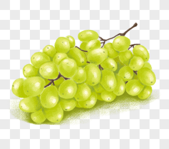 葡萄图片水果白葡萄高清图片