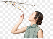 梅花树下的旗袍美女图片