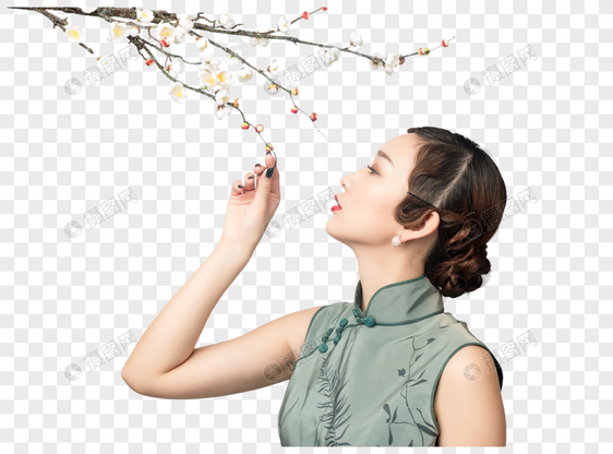 梅花树下的旗袍美女图片