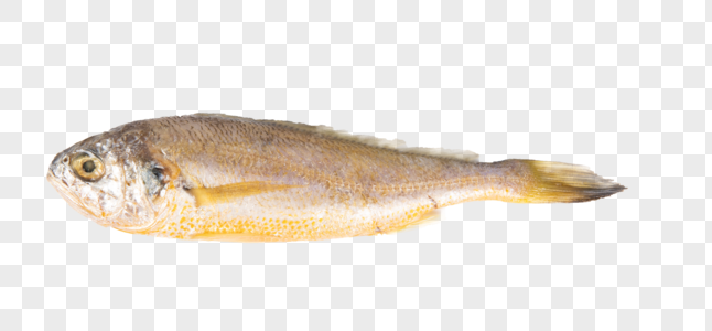 食品元素炸小黄鱼高清图片