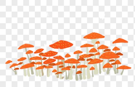 蘑菇蝴蝶很多蘑菇高清图片