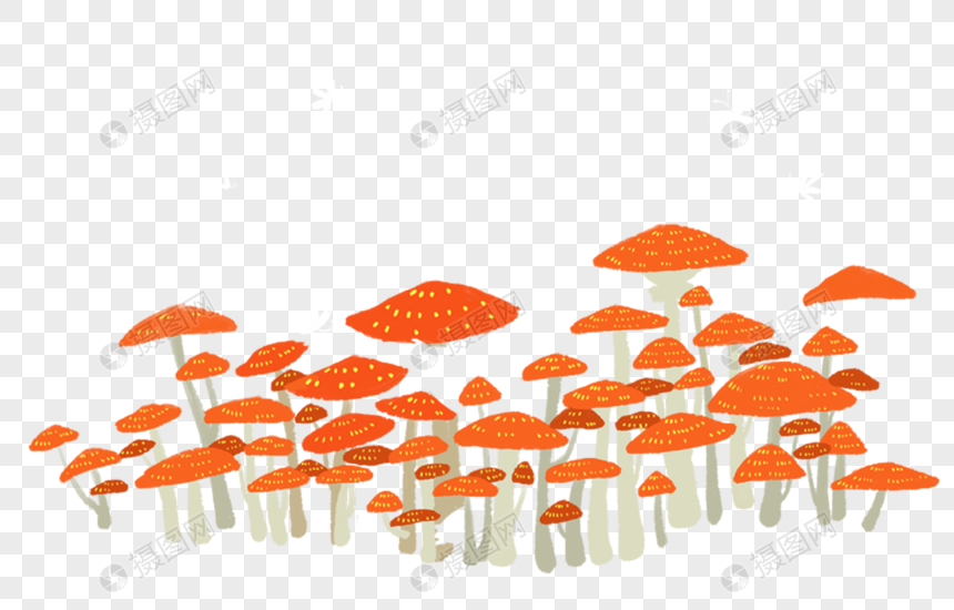 蘑菇蝴蝶图片
