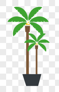 花盆椰子树图片