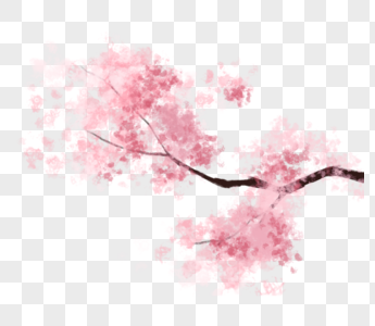 粉色花枝图片