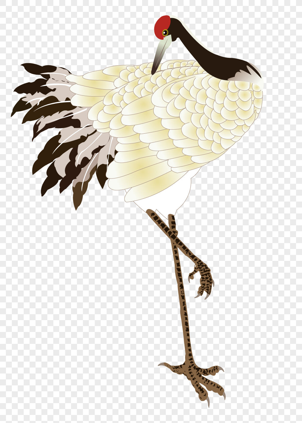 丹顶鹤元素素材png格式_设计素材免费下载_vrf高清图片400336963_摄