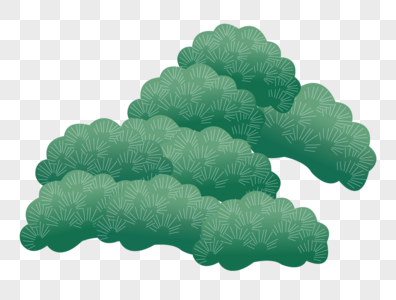 松叶桃花高清图片植物树木插画高清图片手绘植物橡皮树高清图片绿色