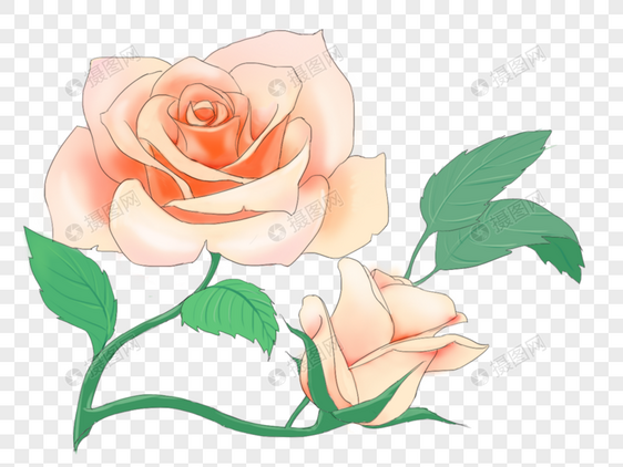 小清新 手绘玫瑰花图片