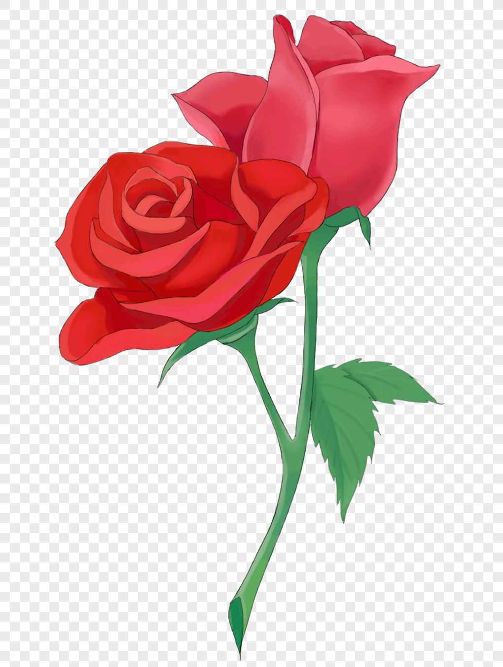 一支玫瑰花一枝花插画