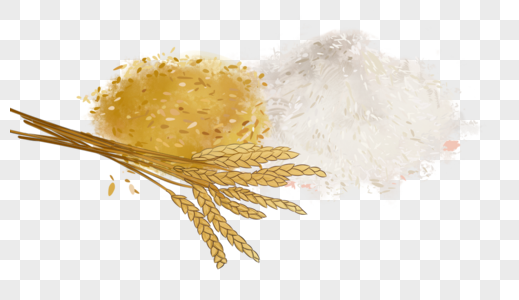 水稻大米大米插画素材高清图片