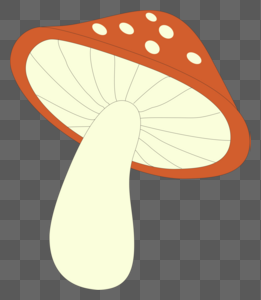 红点点蘑菇图片