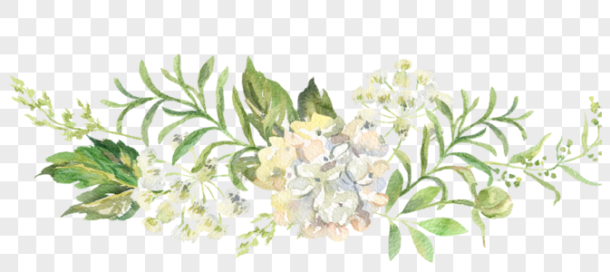 植物花卉装饰边框图片