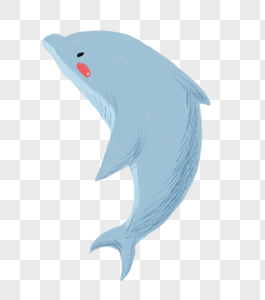 海豚长相有趣的鱼高清图片