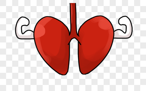肺呼吸器官肺元素高清图片