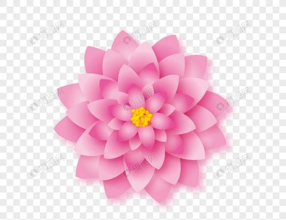 美丽粉色花朵装饰图片