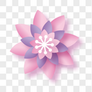 立体粉色装饰花朵图片