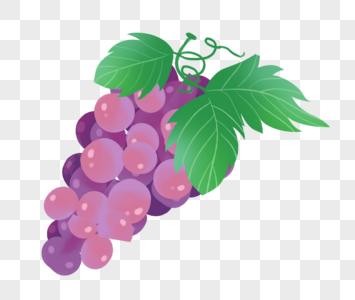 紫色葡萄一串葡萄高清图片