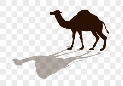 骆驼骆驼元素高清图片