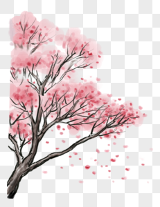 水墨画樱花树图片