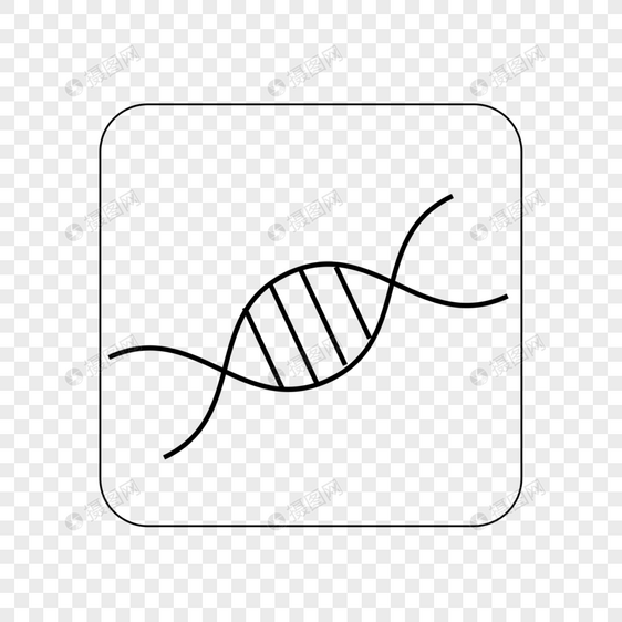 DNA线性图标图片