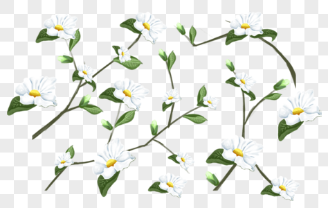 植物花卉底纹图片