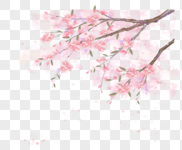 唯美树枝粉色花图片
