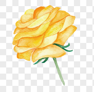 手绘花朵黄玫瑰素材高清图片