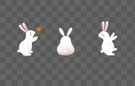 兔子兔子插画高清图片
