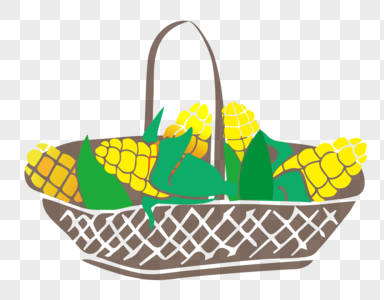 玉米丰收竹篮收玉米高清图片