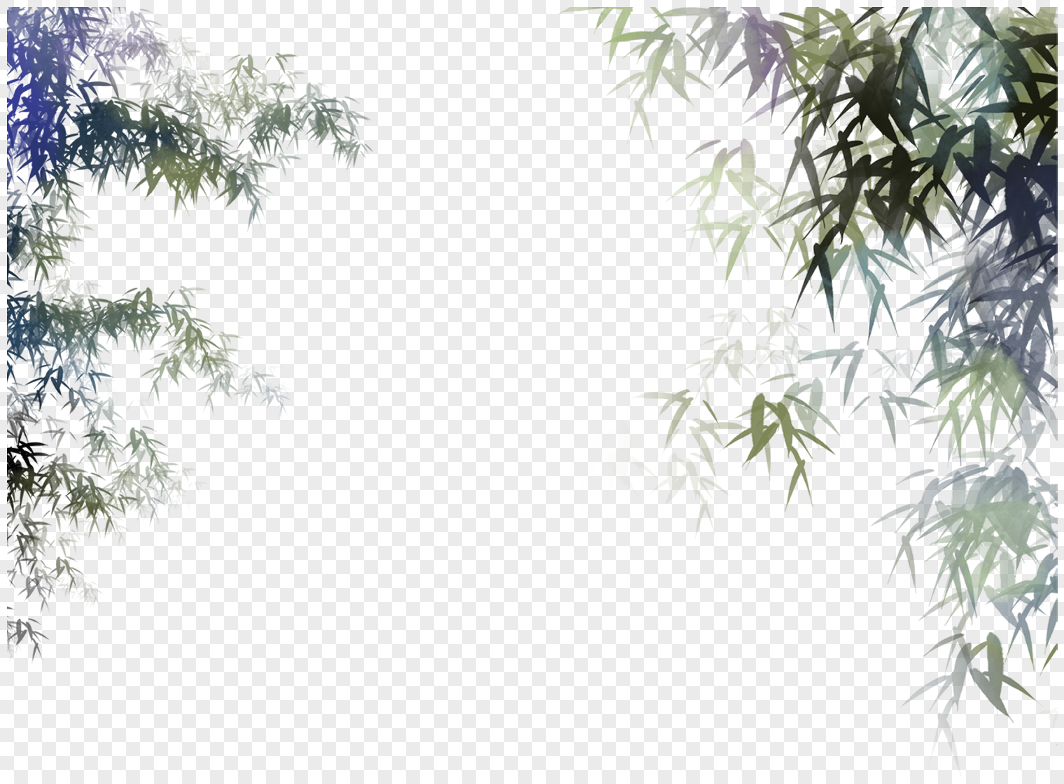 竹林竹叶插画高清图片素材