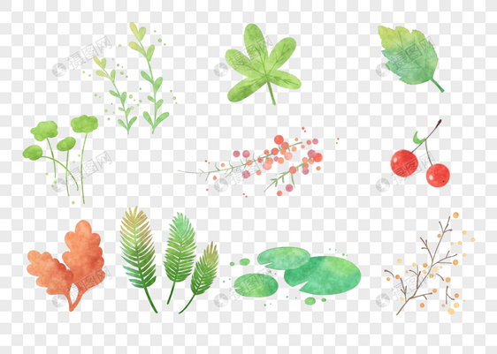 水彩植物图片