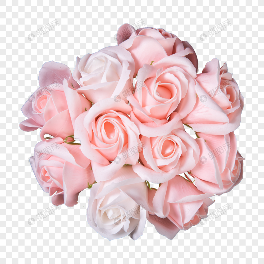 玫瑰花元素素材下载 正版素材 摄图网