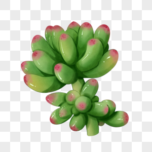 多肉植物水彩图片 多肉植物水彩素材 多肉植物水彩模板下载 摄图网 多肉植物水彩图片 多肉植物水彩素材 多肉植物水彩模板下载 摄图网