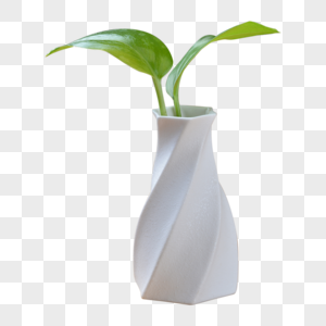 陶瓷花瓶花朵绿植高清图片