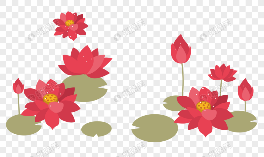 中秋节花卉图片