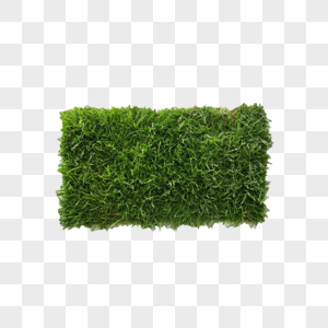绿色草皮下垂的草皮高清图片