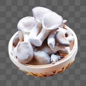 新鲜秀珍菇食物秀珍菇高清图片