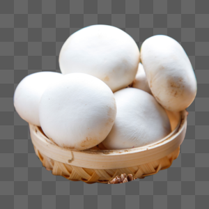 新鲜小白菇图片