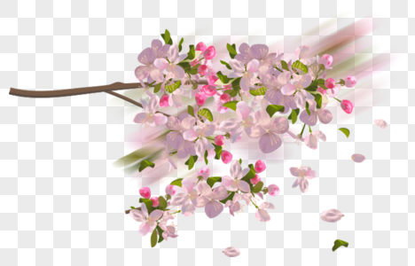 油桐花树元素 免抠素材 Png图片下载 摄图网