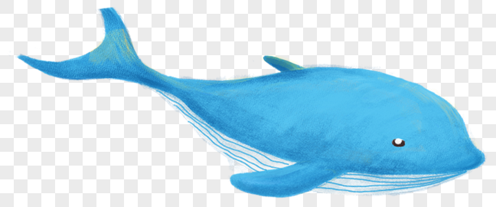 鲸鱼透明蓝鲸素材高清图片