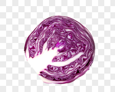 紫甘蓝健康包心菜高清图片