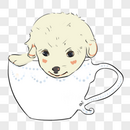 茶杯宠物狗图片